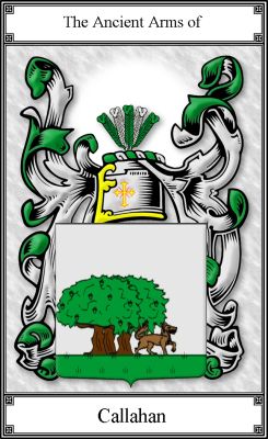 The Callahan coat of arms by houseofnames.com